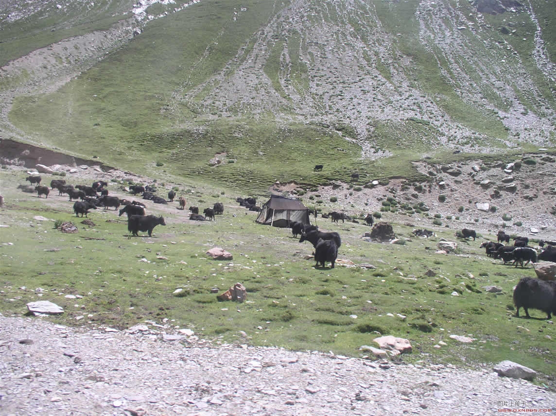 Namucuo 043.jpg